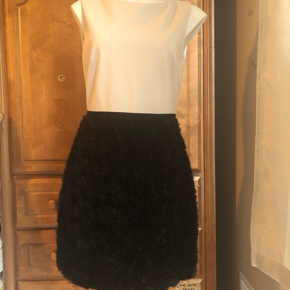 Halston Heritage Two Tone Dress- size 10